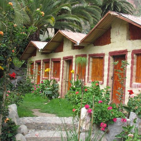 Paraiso Las Palmeras Lodge Cabanaconde Buitenkant foto