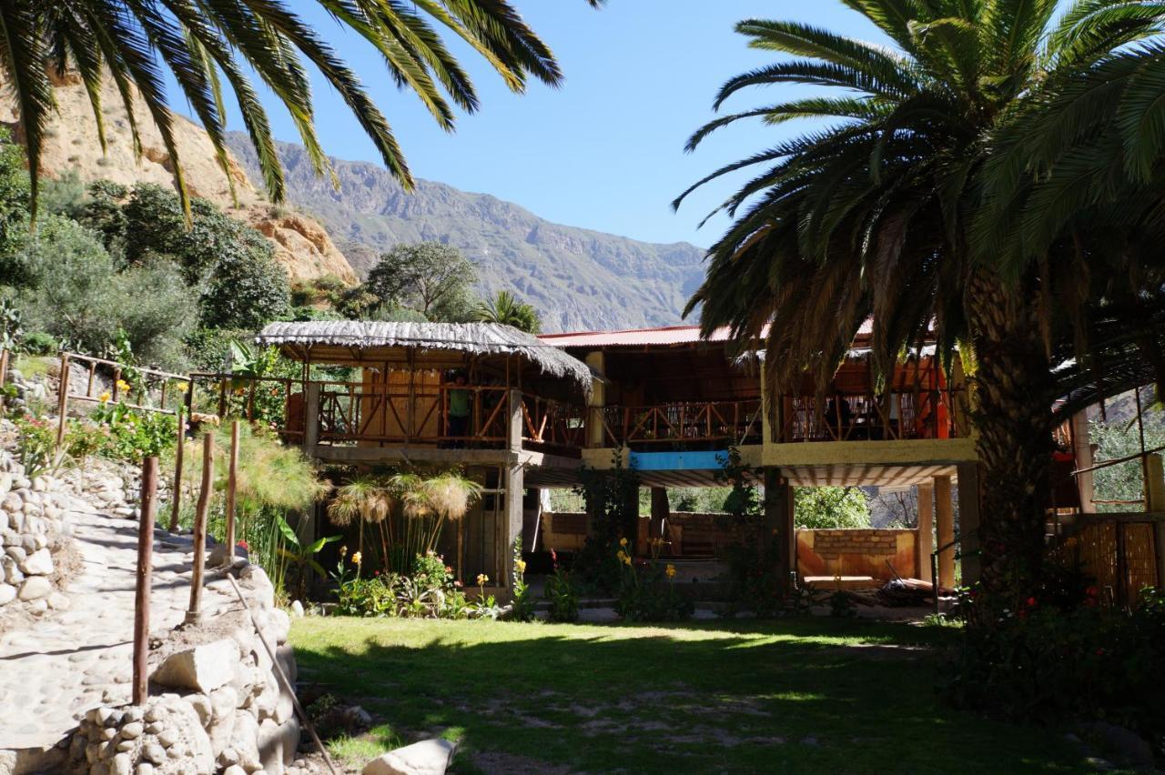 Paraiso Las Palmeras Lodge Cabanaconde Kamer foto