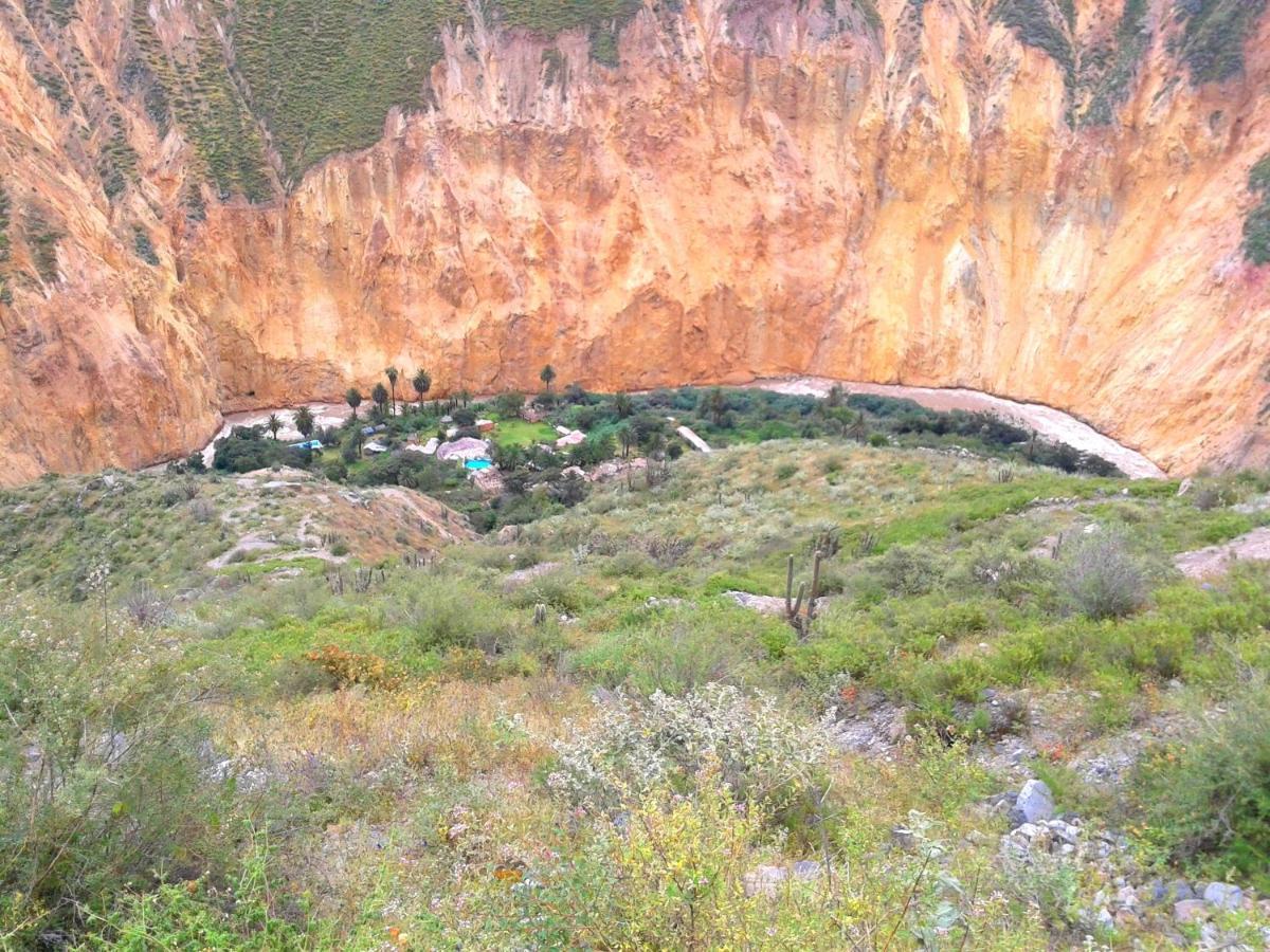 Paraiso Las Palmeras Lodge Cabanaconde Buitenkant foto