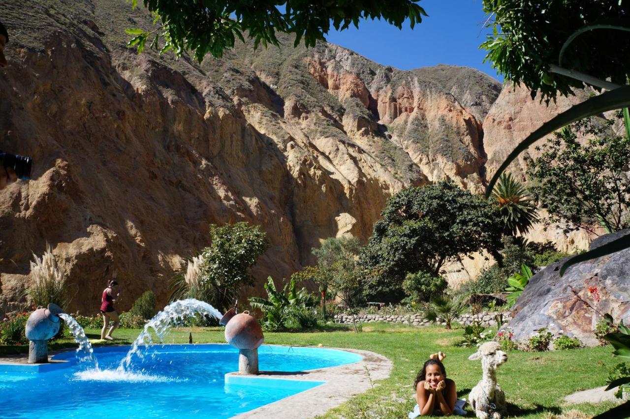 Paraiso Las Palmeras Lodge Cabanaconde Buitenkant foto