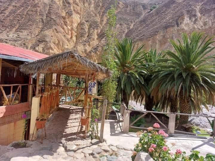 Paraiso Las Palmeras Lodge Cabanaconde Buitenkant foto