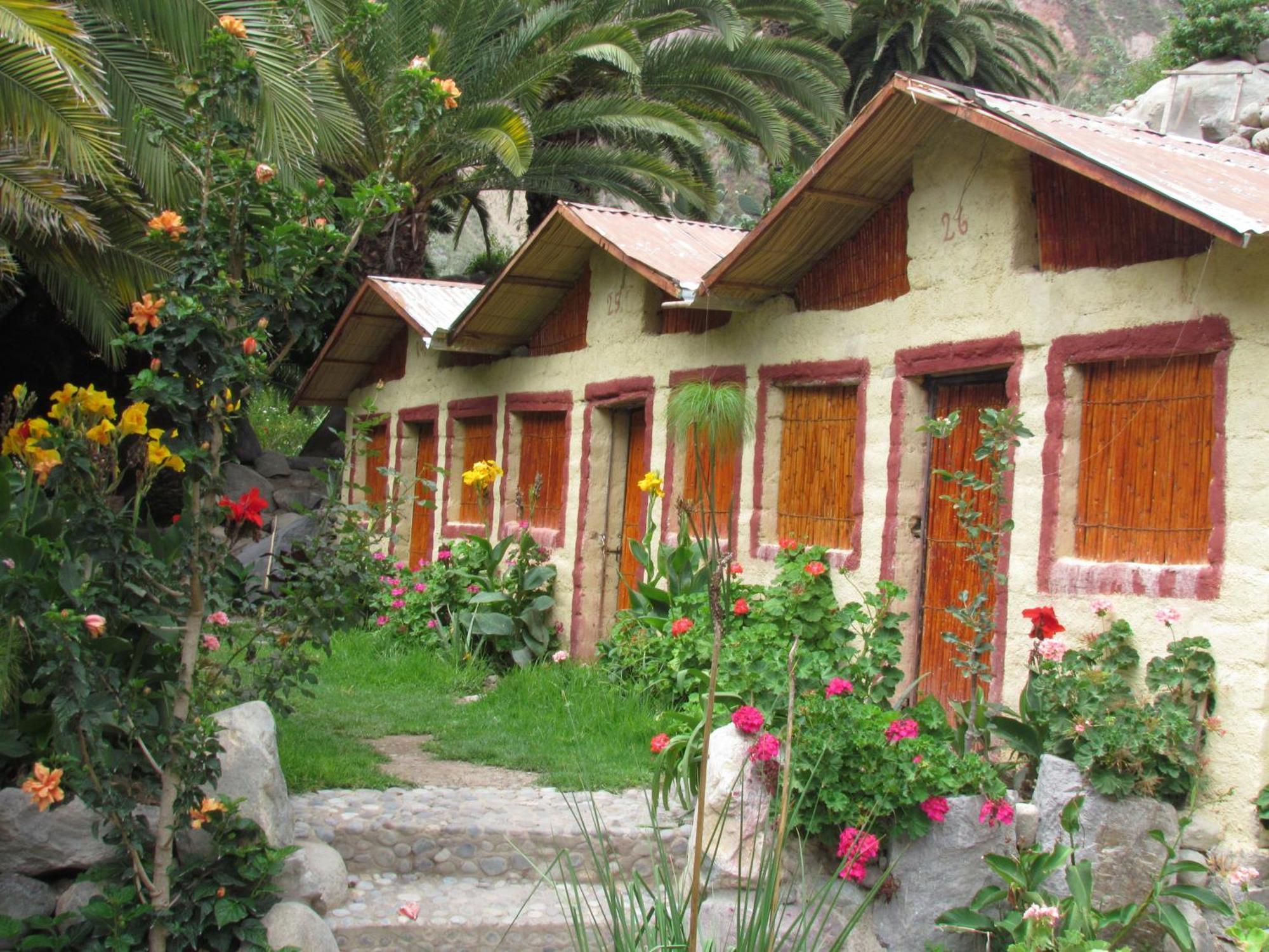 Paraiso Las Palmeras Lodge Cabanaconde Buitenkant foto